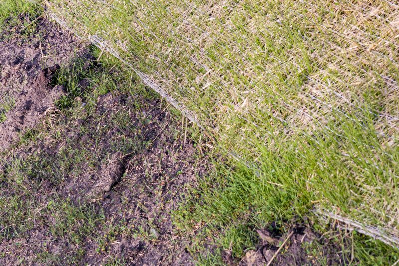 Erosion Control Matting