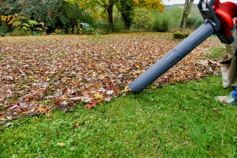 Equipment for Fall Cleanup