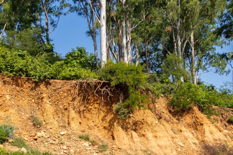 Products For Erosion Repairs in use